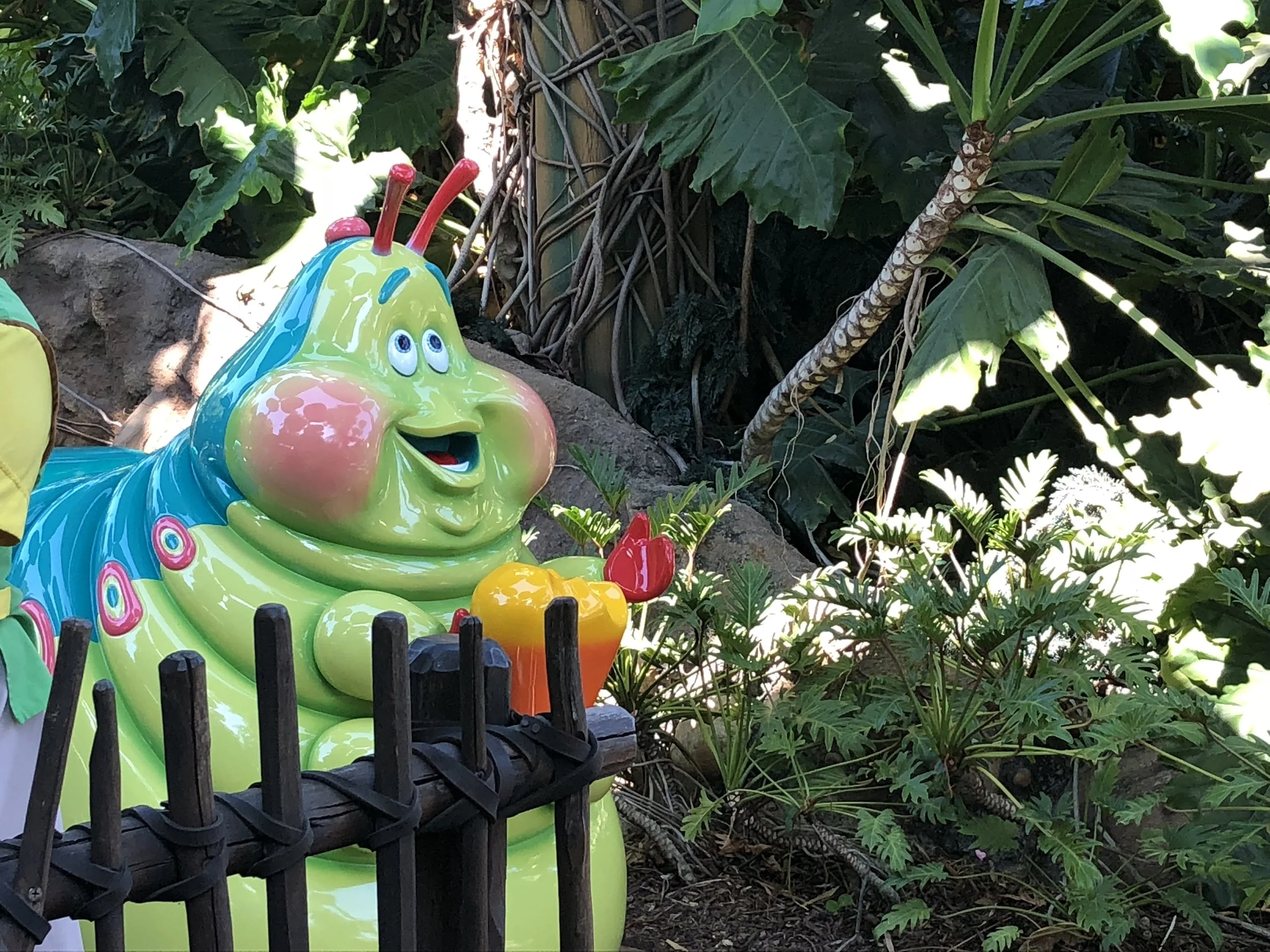 BUG 「Land of Decadence」 Things We'll Miss about A Bug's Land — lost weekenders
